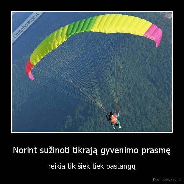 Norint sužinoti tikrąją gyvenimo prasmę