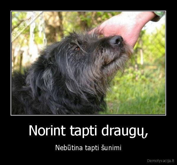 suniskas, gyvenimas,tikra, draugyste,suns, glostymas