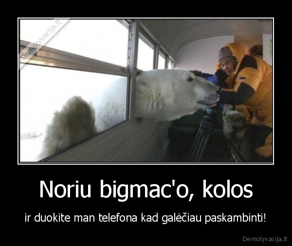 Noriu bigmac'o, kolos