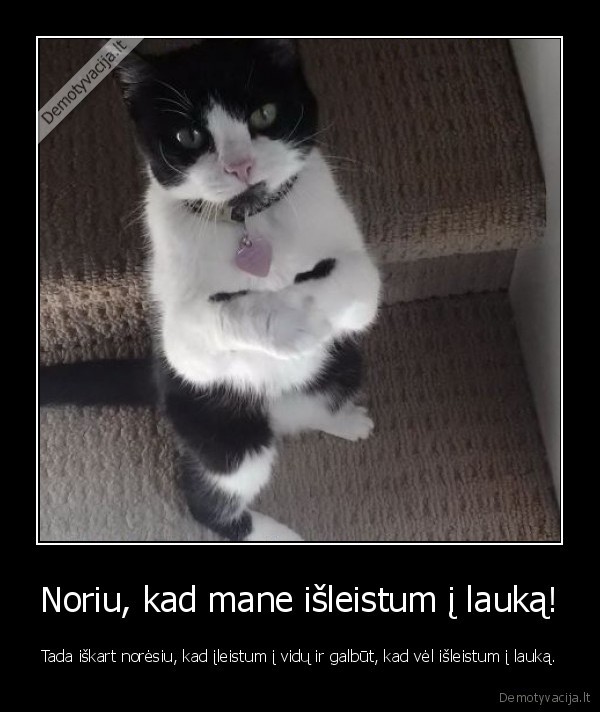 Noriu, kad mane išleistum į lauką!