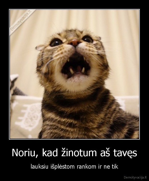 Noriu, kad žinotum aš tavęs