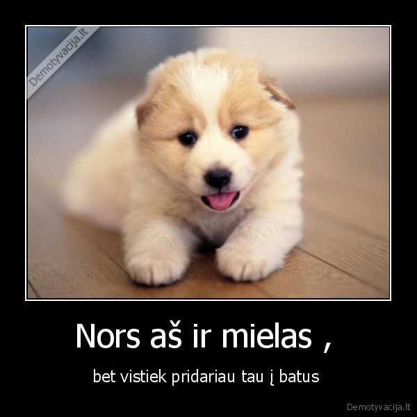 Nors aš ir mielas , 