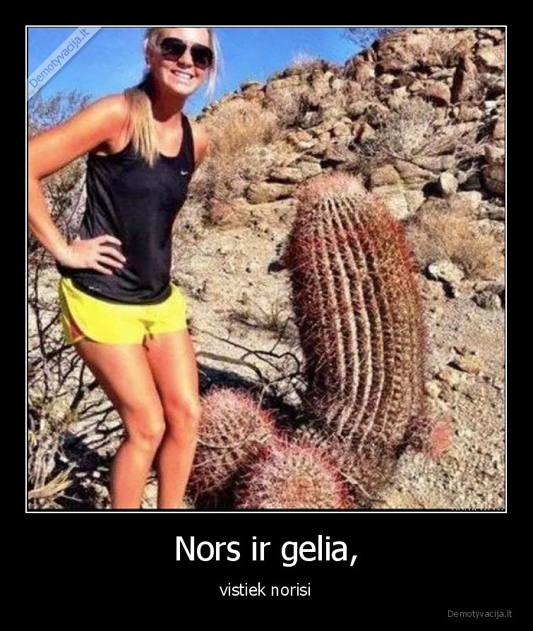 penis,kaktusas,gelia