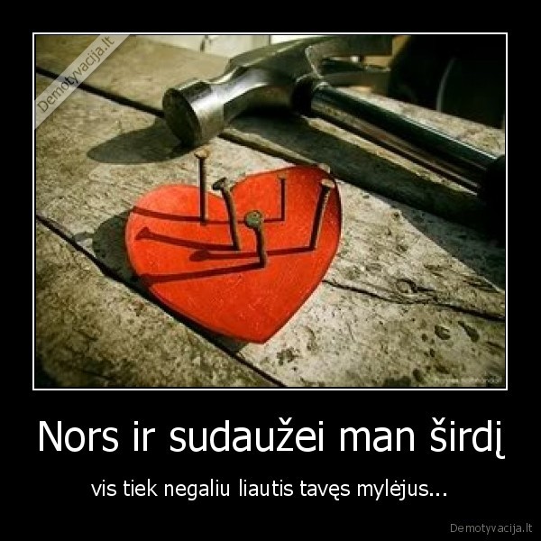 Nors ir sudaužei man širdį