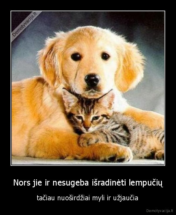 Nors jie ir nesugeba išradinėti lempučių