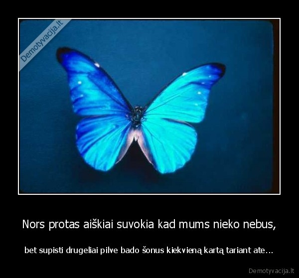 protas,drugeliai