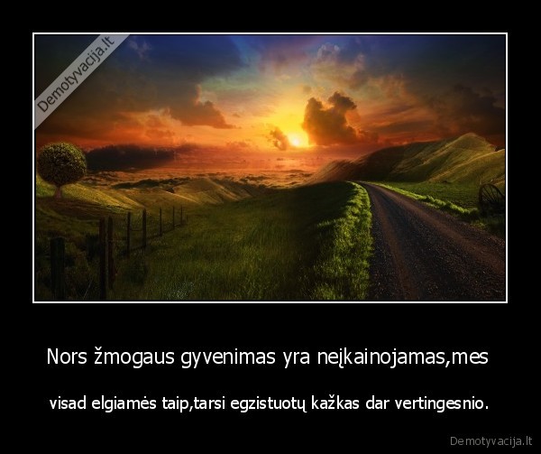 Nors žmogaus gyvenimas yra neįkainojamas,mes 