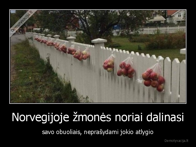 norvegijoje,obuoliai,faktai,idomybes,zmones