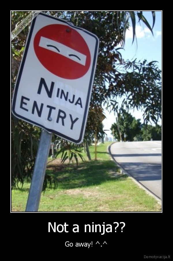 ninja