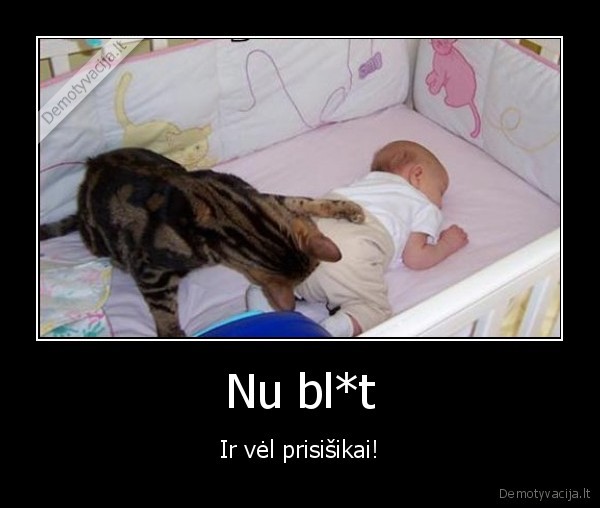 kudikis, ir, katinas,juokingas, katinas