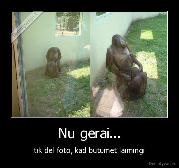 orangutanas,orangutanai,bezdziones,oralinis,oralinis, seksas