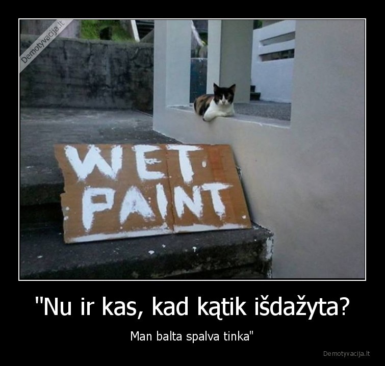 kate,katinas,dazai,balta