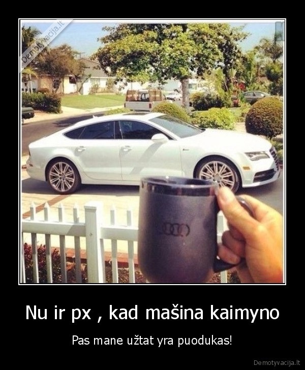 audi,masina,puodukas