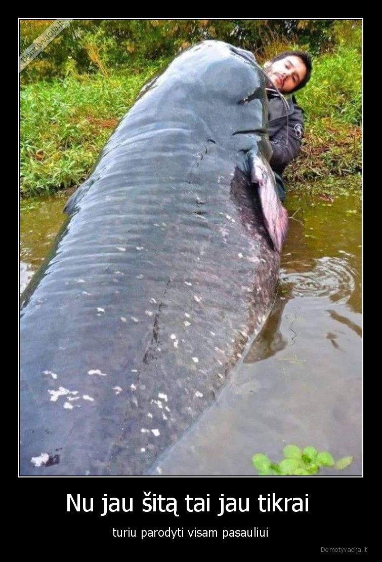 zvejyba,laimikis,turiu, parodyti