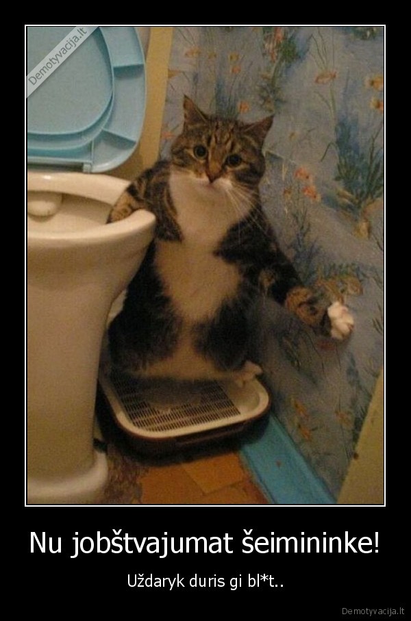 Nu jobštvajumat šeimininke!