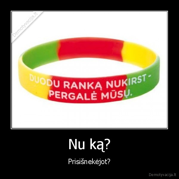 lietuva, pralaimejimas, wtf, w00t, omg