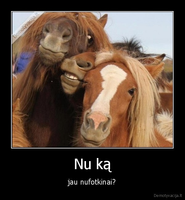 nuotraukos,fotografuoti