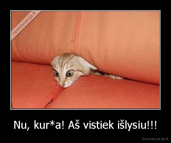 Nu, kur*a! Aš vistiek išlysiu!!!