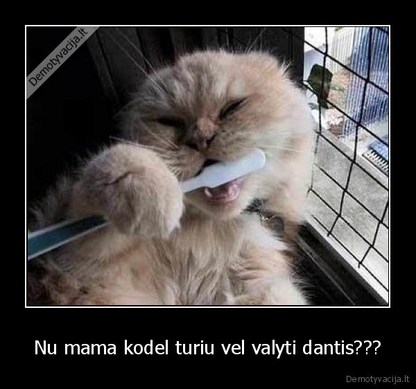 Nu mama kodel turiu vel valyti dantis???