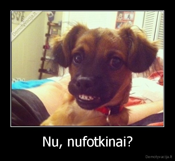 nuotraukos,nufotkinai,kaip, atrodau