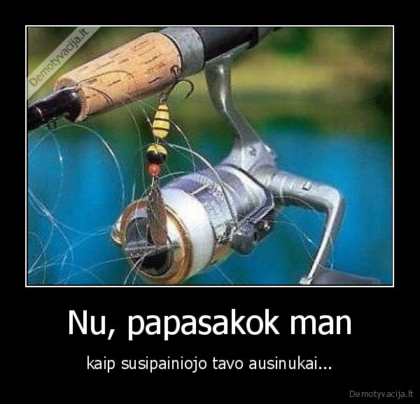 ausinukai,susipainiojo,zvejyba