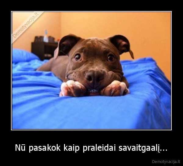 Nū pasakok kaip praleidai savaitgaalį...