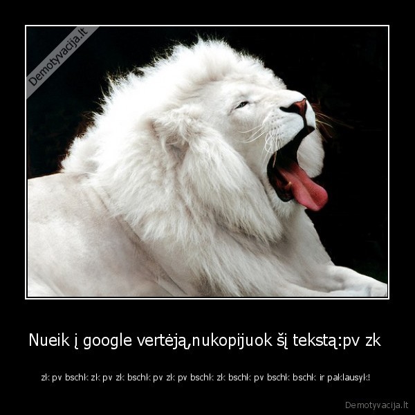 Nueik į google vertėją,nukopijuok šį tekstą:pv zk 