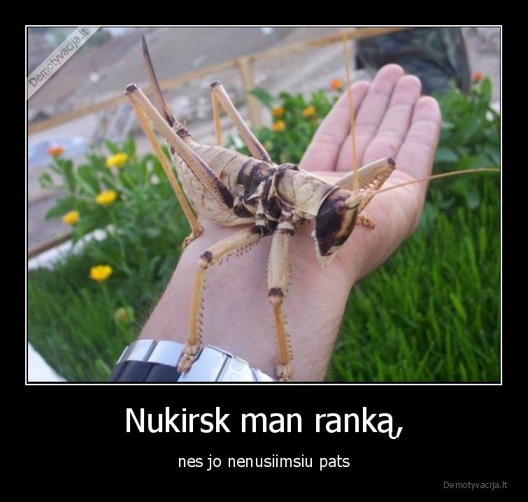 ranka,baisu,nukirsk,dinozauras,kazkoks