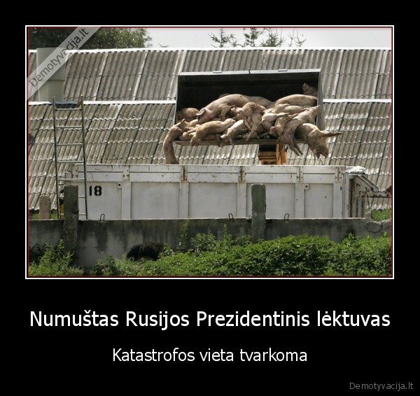 Numuštas Rusijos Prezidentinis lėktuvas