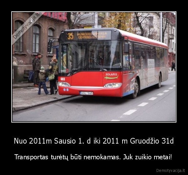 autobusas,zuikio, metai,zuikis,nemokamai