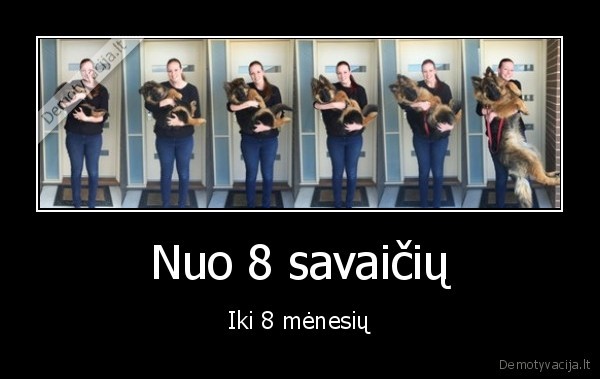 suo,augantis, suo,sunelis