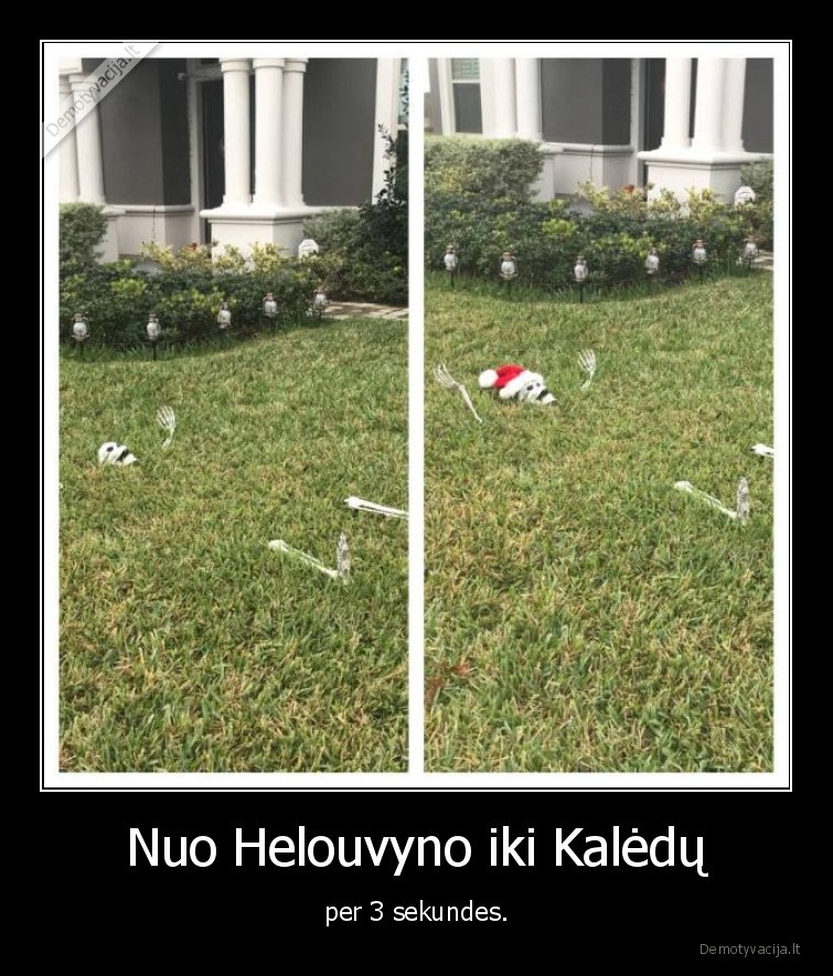 helouvynas,kaledos,skeletas