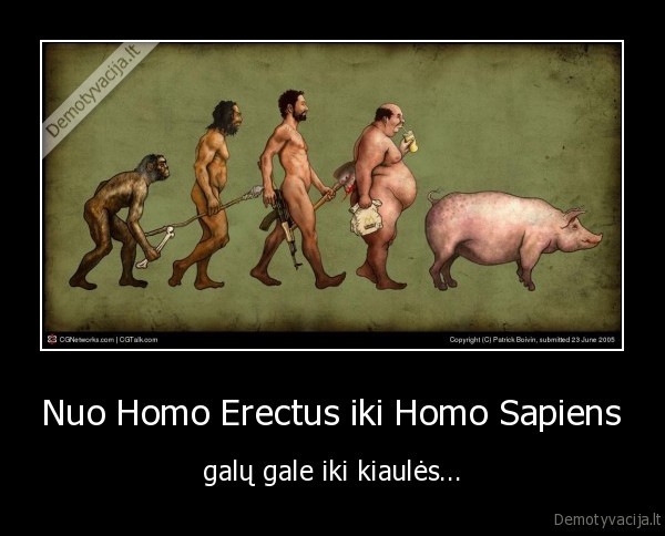 Nuo Homo Erectus iki Homo Sapiens