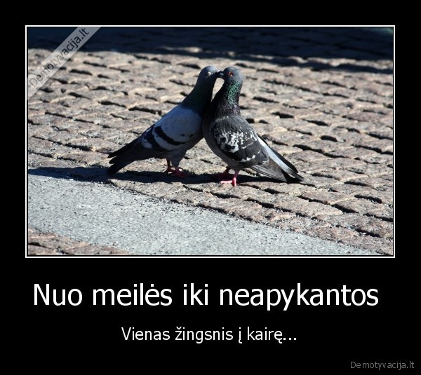 Nuo meilės iki neapykantos 