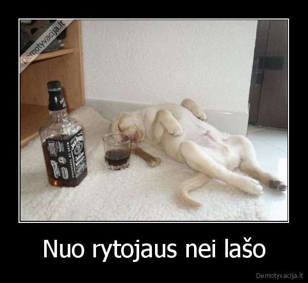 girtas, suo,gyvunai