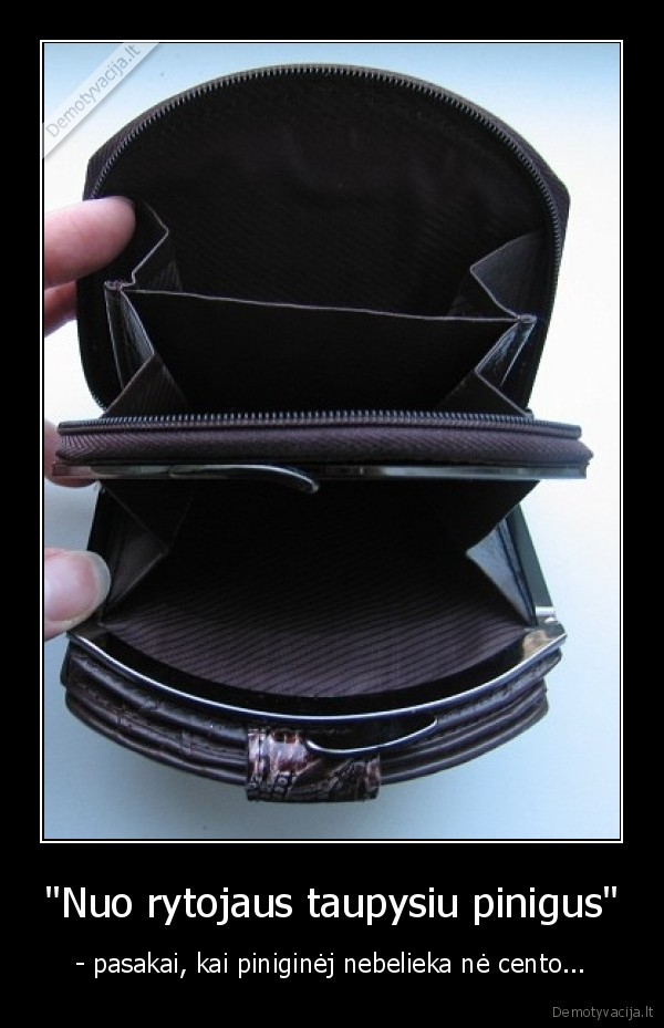 pinigai,nera, pinigu,kubilius, pavoge, pinigus