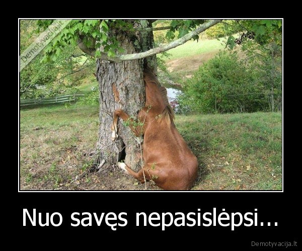 nepasiseke, arkliukui