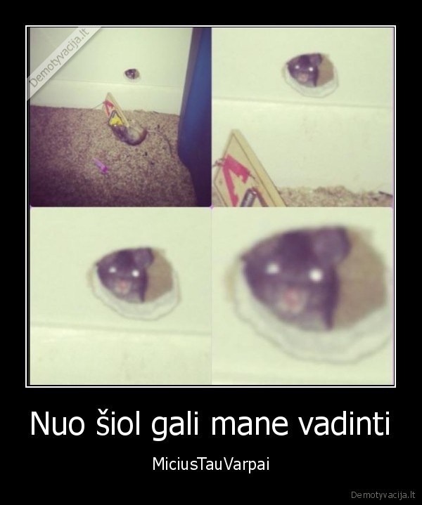 Nuo šiol gali mane vadinti