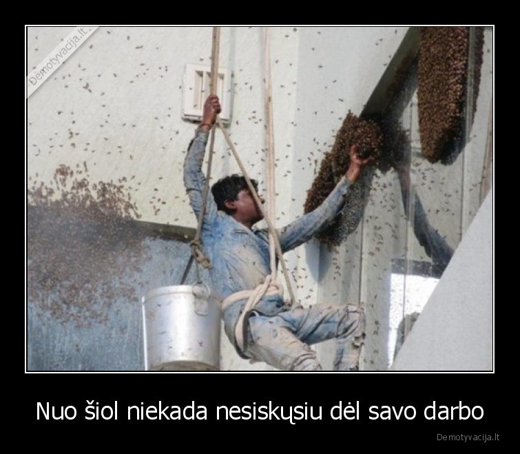 darbas,bites,ekstremalu