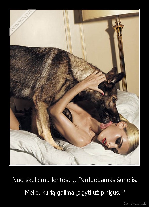 Nuo skelbimų lentos: ,, Parduodamas šunelis.