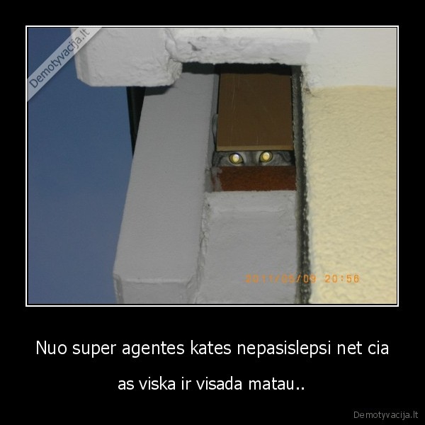 Nuo super agentes kates nepasislepsi net cia