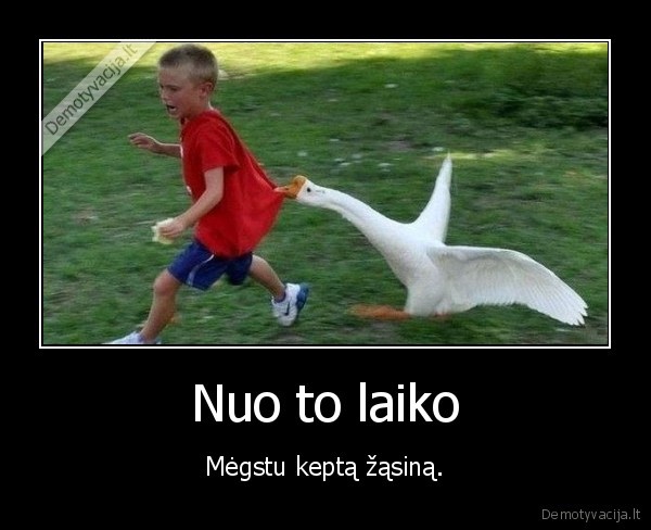 zasynas,vejasi,keptas