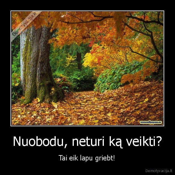 nuobodulys,ruduo,vasara,veikt,nera,nera,konkursas,one,druskininkai,lapa