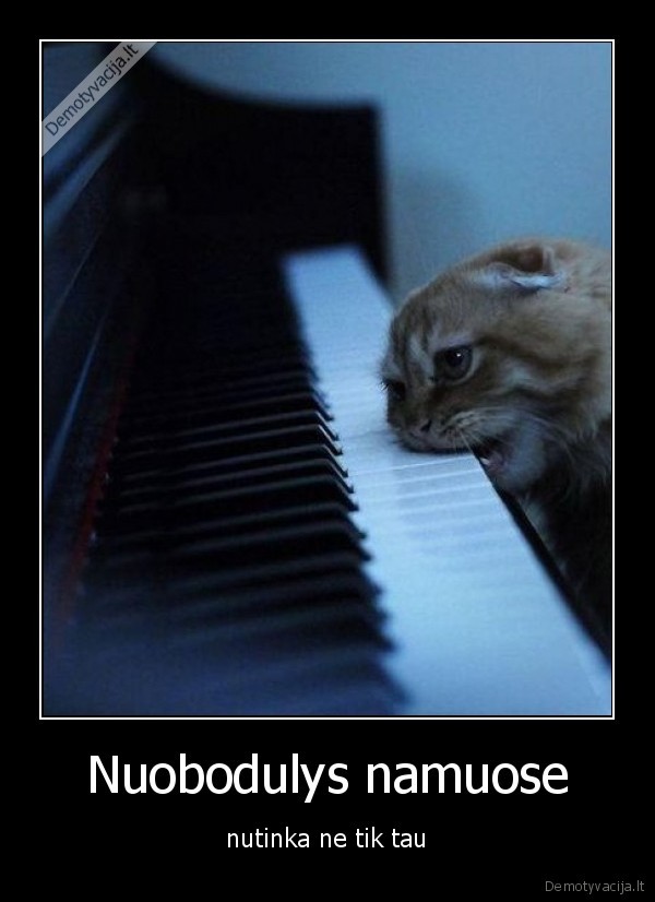 nuobodulys,namai,kate