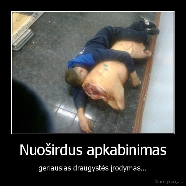 apkabinimas,hug,kiaule,apkabino