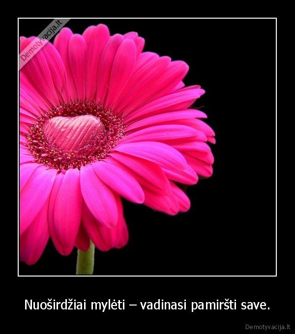 Nuoširdžiai mylėti – vadinasi pamiršti save.