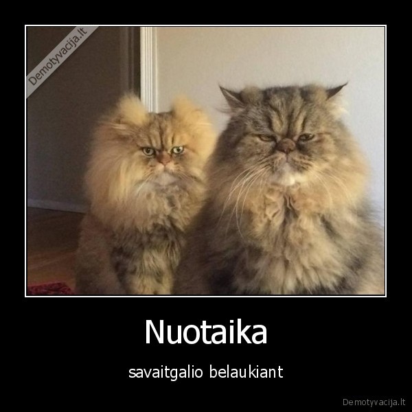 savaitgalis,nuotaika