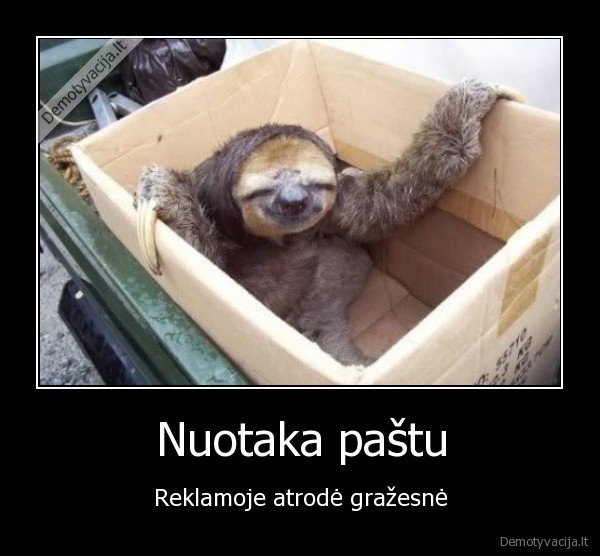 reklama,nuotaka,barsukas