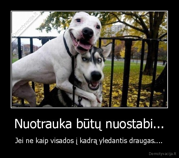 Nuotrauka būtų nuostabi...