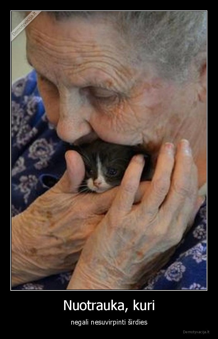 mociute,katinelis,gyvenimas